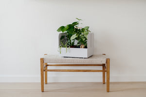 Maki Basket from OYOY with plants on wooden bench